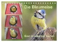 Cover-Bild zum Titel 'Die Blaumeise, Gast in unserem Garten (Tischkalender 2024 DIN A5 quer), CALVENDO Monatskalender' von 'Rufotos Rufotos'