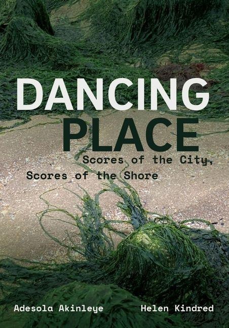 Dancing Place - Adesola Akinleye, Helen Kindred