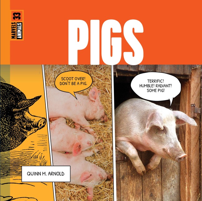 Pigs - Quinn M Arnold