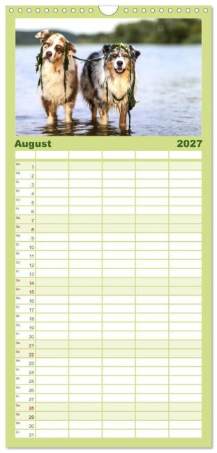 InsideView 13