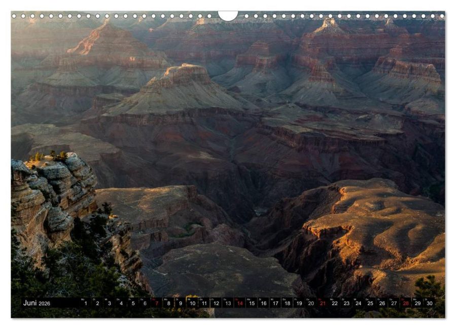 InsideView 11
