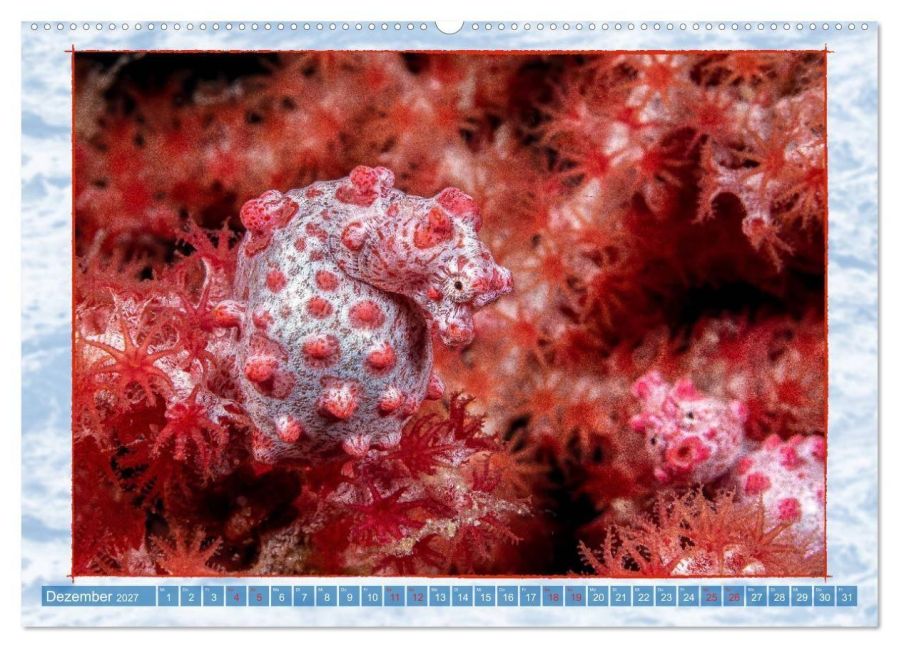 InsideView 4