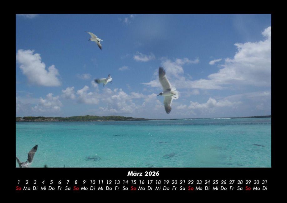 InsideView 7
