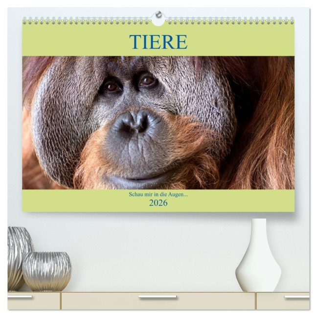 Tiere Schau mir in die Augen (hochwertiger Premium Wandkalender 2026 DIN A2 quer), Kunstdruck in Hochglanz - Armin Joecks