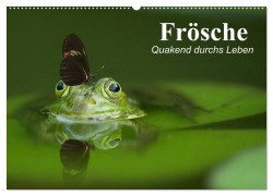 Cover-Bild zum Titel 'Frösche. Quakend durchs Leben (Wandkalender 2026 DIN A2 quer), CALVENDO Monatskalender' von 'Elisabeth Stanzer'
