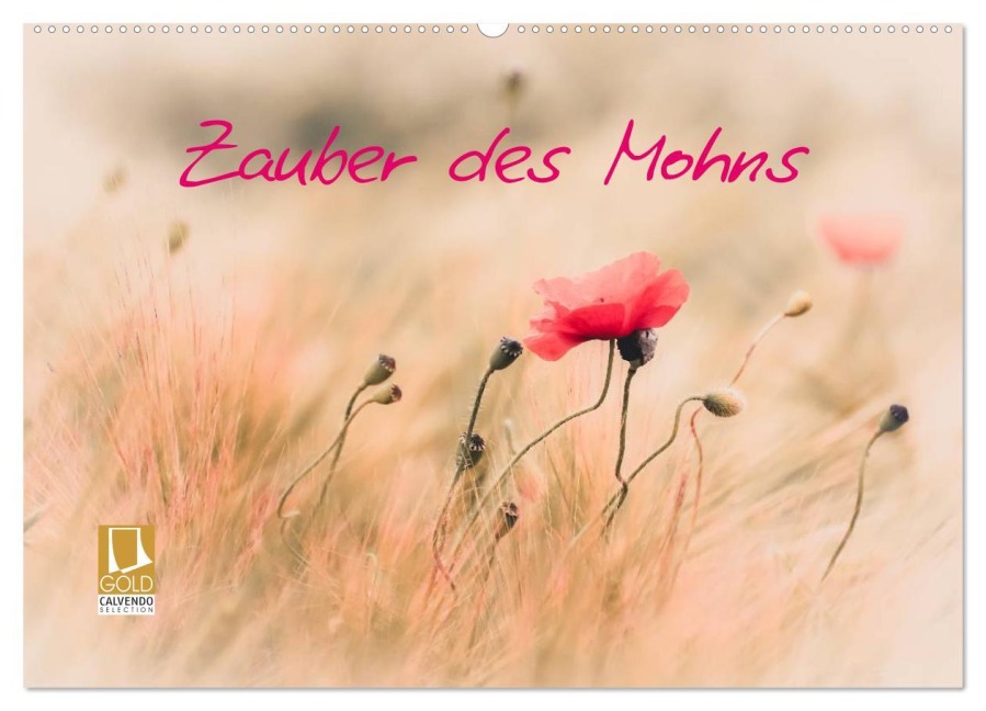 Zauber des Mohns (Wandkalender 2026 DIN A2 quer), CALVENDO Monatskalender - Annette Hanl