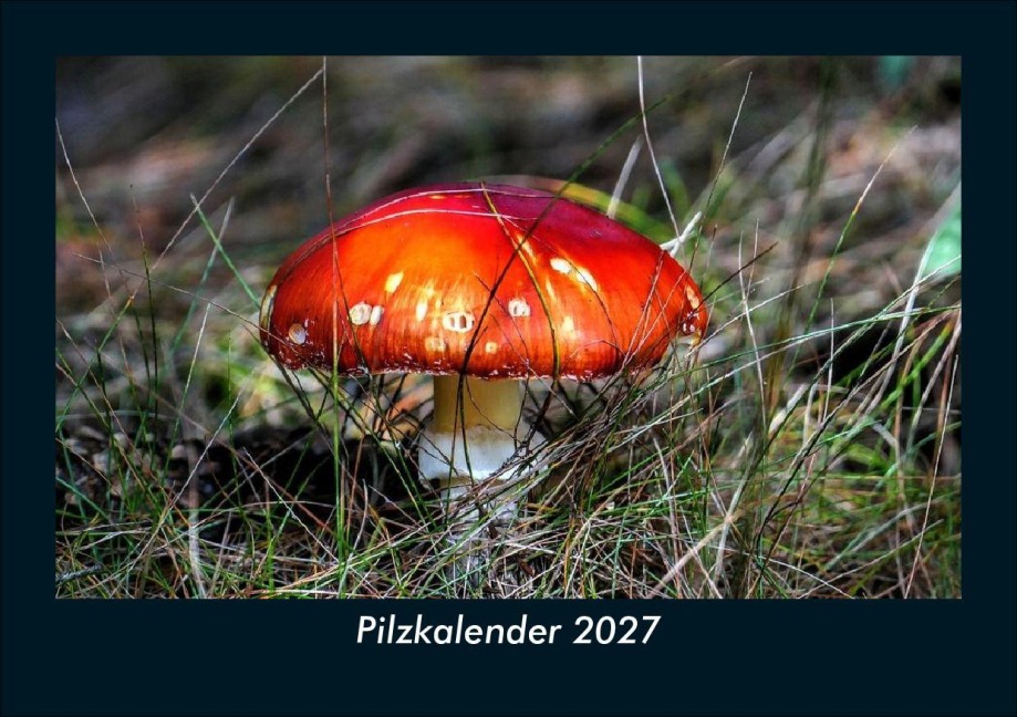 Pilzkalender 2027 Fotokalender DIN A5 - Tobias Schmitt, Kevin Heber
