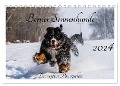 Berner Sennenhunde - Die sanften Powerpakete (Tischkalender 2024 DIN A5 quer), CALVENDO Monatskalender - Jana K. Fotografie