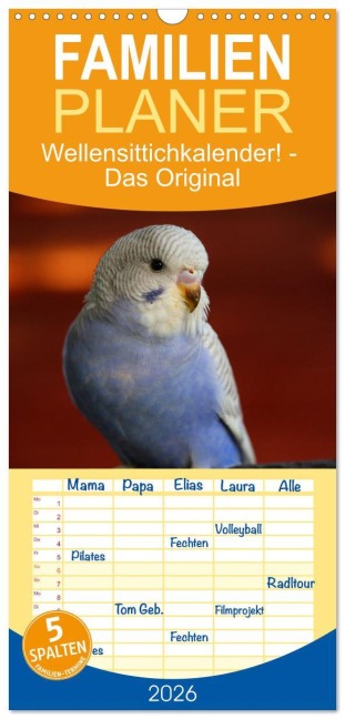 Familienplaner 2026 - Wellensittichkalender! - Das Original mit 5 Spalten (Wandkalender, 21 x 45 cm) CALVENDO - Björn Bergmann