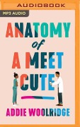 Anatomy of a Meet Cute - Addie Woolridge