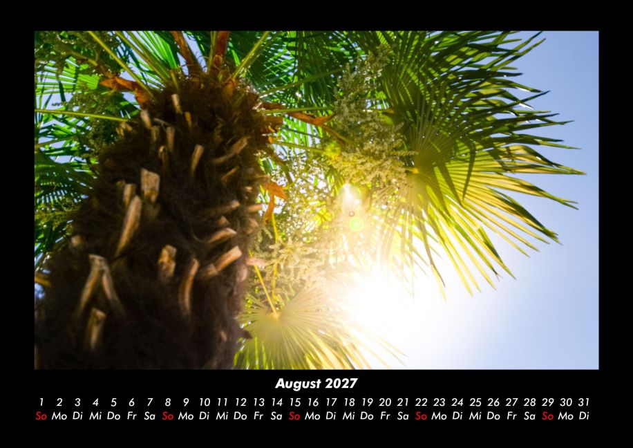InsideView 12