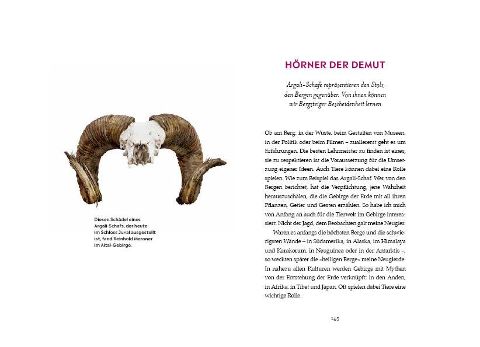 InsideView 6