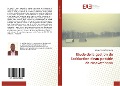 Cover-Bild zum Titel 'Etude de la gestion de l'adduction d'eau potable de Maevatanana' von 'Nicolas Evrarde Falimanana'