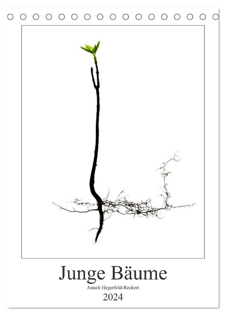 Junge Bäume (Tischkalender 2024 DIN A5 hoch), CALVENDO Monatskalender - Anneli Hegerfeld-Reckert
