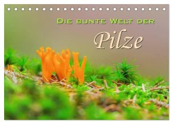 Cover-Bild zum Titel 'Die bunte Welt der Pilze (Tischkalender 2027 DIN A5 quer), CALVENDO Monatskalender' von 'Lianem'