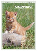 Katzenkinder (Tischkalender 2025 DIN A5 hoch), CALVENDO Monatskalender - Barbara Mielewczyk