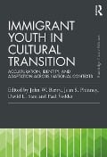 Cover-Bild zum Titel 'Immigrant Youth in Cultural Transition' von ''