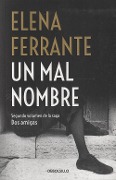 Un mal nombre (Dos amigas 2) - Elena Ferrante