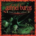 Cover-Bild zum Titel '17/Was ist das Leben? (Remastered Edition)' von 'Gabriel Burns'