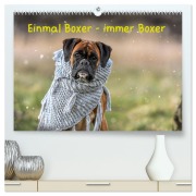 Cover-Bild zum Titel 'Einmal Boxer - immer Boxer (hochwertiger Premium Wandkalender 2026 DIN A2 quer), Kunstdruck in Hochglanz' von 'Yvonne Janetzek'