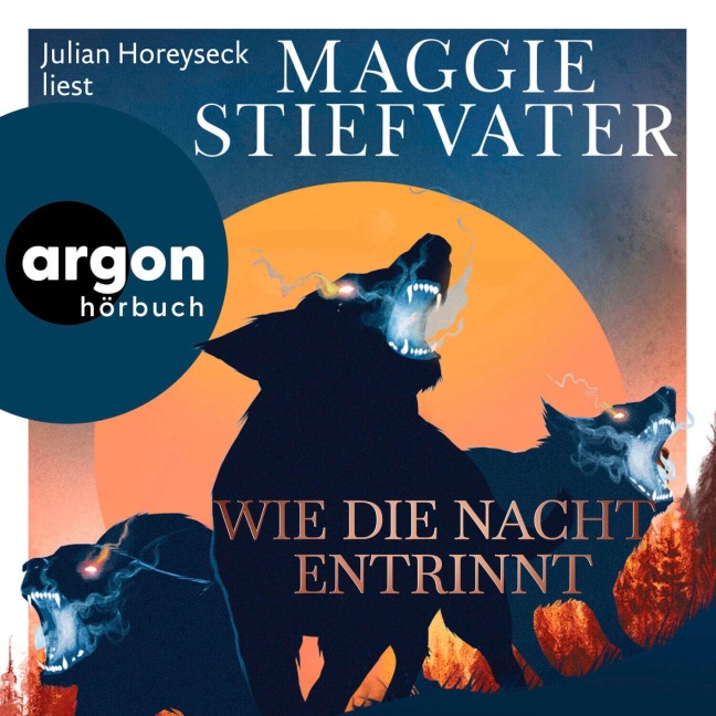 Wie die Nacht entrinnt - Maggie Stiefvater
