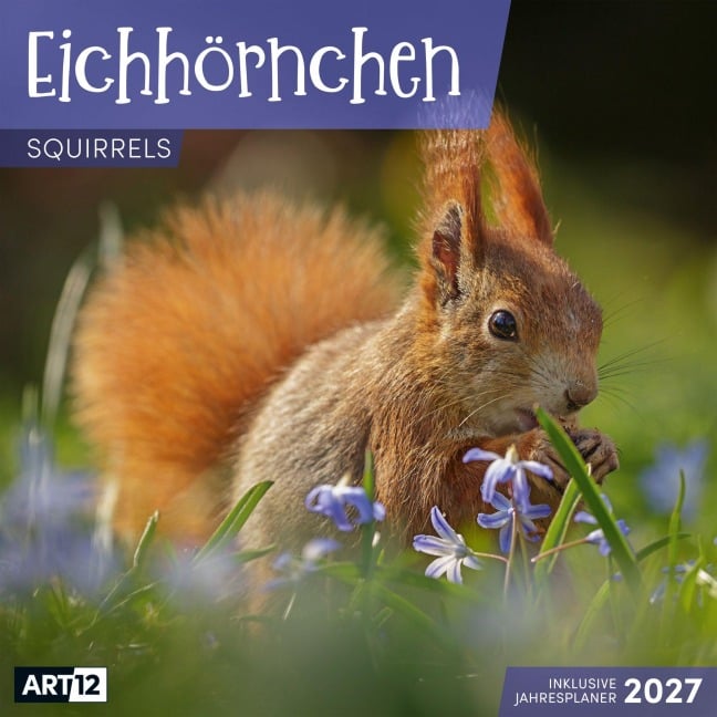 Eichhörnchen Kalender 2027 - 30x30 - Art12 - Ackermann Kunstverlag GmbH