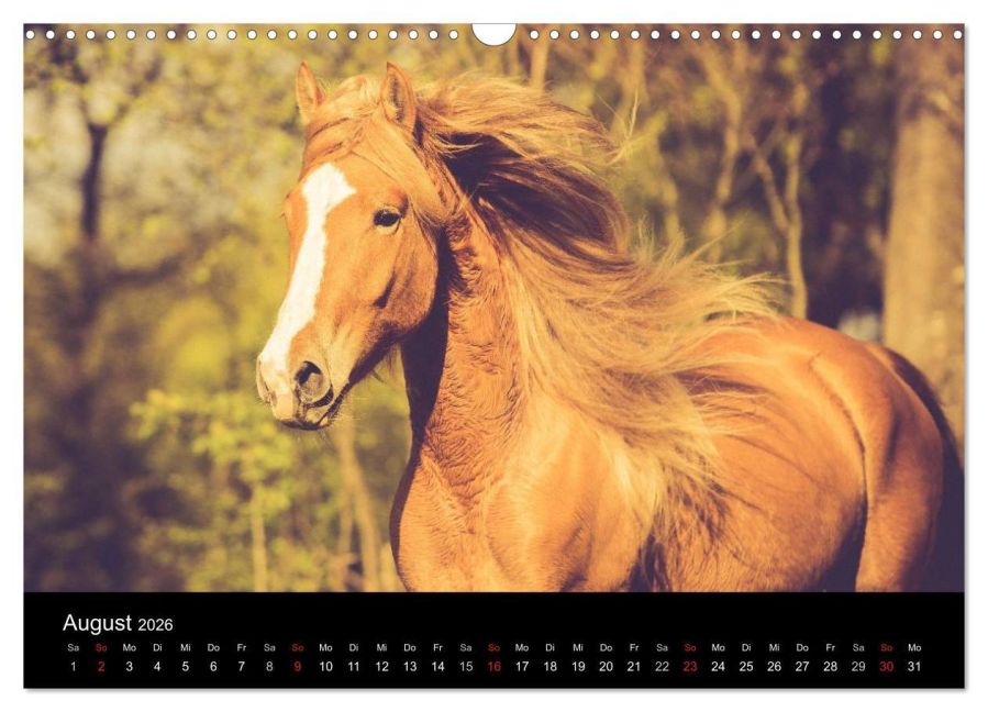 InsideView 13