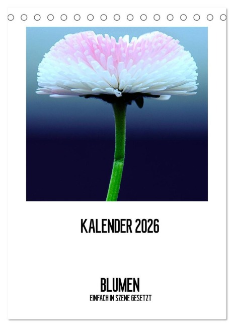 BLUMEN EINFACH IN SZENE GESETZT (Tischkalender 2026 DIN A5 hoch), CALVENDO Monatskalender - Susanne Jeschke
