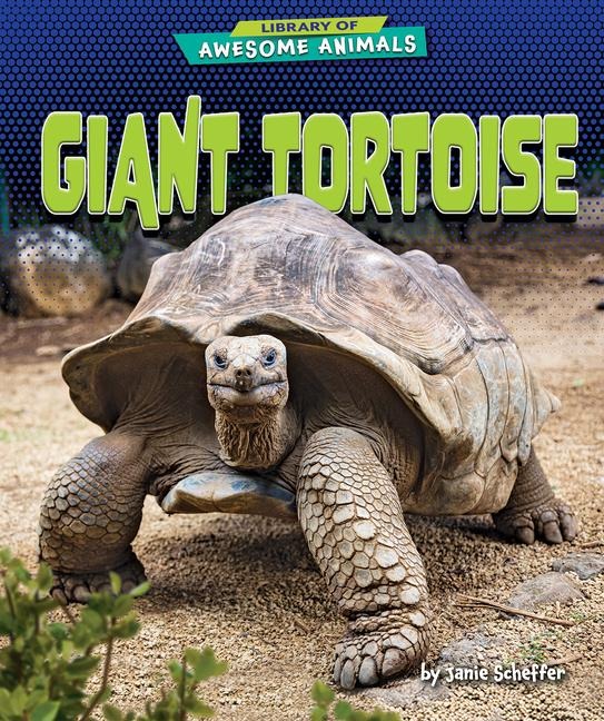 Giant Tortoise - Janie Scheffer