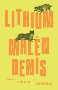 Cover-Bild zum Titel 'Lithium' von 'Malén Denis'