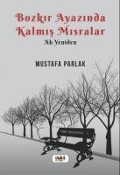 Cover-Bild zum Titel 'Bozkir Ayazinda Kalmis Misralar' von 'Mustafa Parlak'