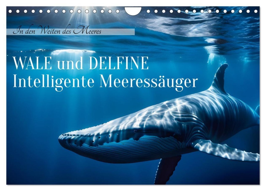 Wale und Delfine - Intelligente Meeressäuger (Wandkalender 2026 DIN A4 quer), CALVENDO Monatskalender - Claudia Kleemann