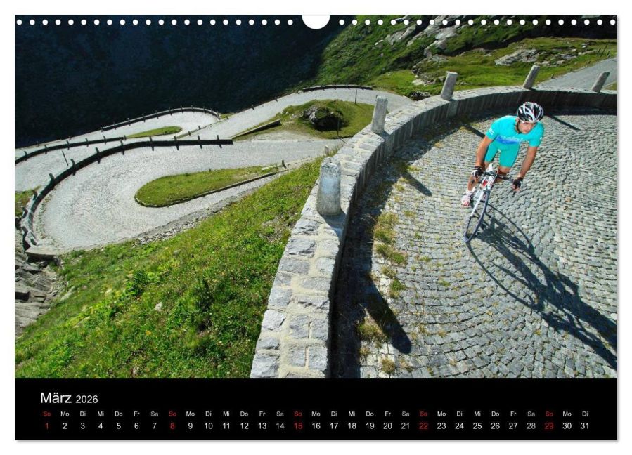 InsideView 8