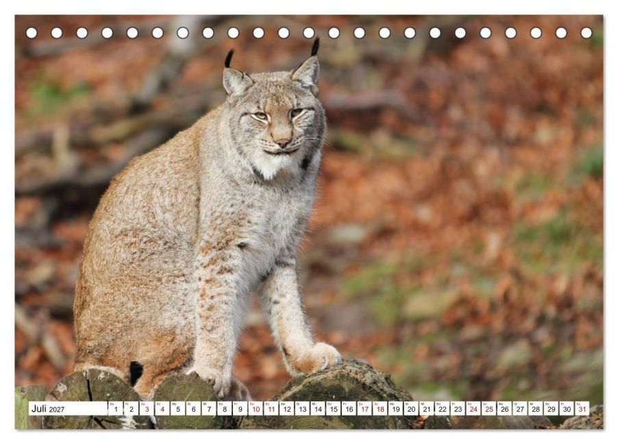 InsideView 12
