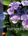 Hortensien - Harry van Trier