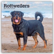 Cover-Bild zum Titel 'Rottweilers - Rottweiler 2027 - 16-Monatskalender' von 'Browntrout Publishers'