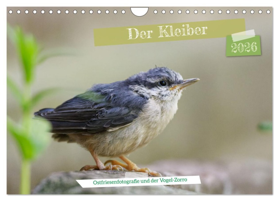 Der Kleiber - Ostfriesenfotografie und der Vogel-Zorro (Wandkalender 2026 DIN A4 quer), CALVENDO Monatskalender - Christina Worch - Ostfriesenfotografie