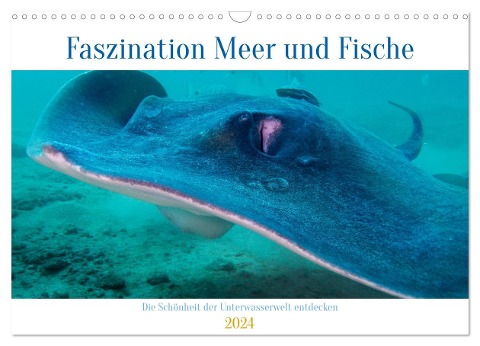 Faszination Meer und Fische (Wandkalender 2024 DIN A3 quer), CALVENDO Monatskalender - Peter Schulz
