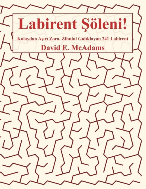 Labirent ¿öleni! - David E. McAdams