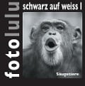 Cover-Bild zum Titel 'fotolulu schwarz auf weiss I' von 'Fotolulu'