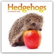 Hedgehogs - Igel 2026 - Wand-Kalender - Carousel Calendar
