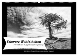 Schwarz-Weis(s)heiten (Wandkalender 2026 DIN A2 quer), CALVENDO Monatskalender - Andreas Klesse