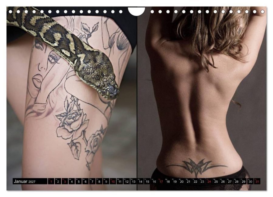InsideView 6