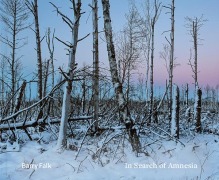 Cover-Bild zum Titel 'In Search of Amnesia' von 'Barry Falk'