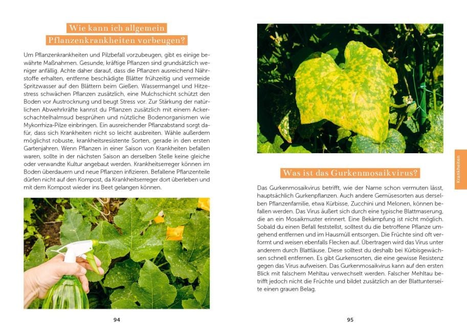 InsideView 7