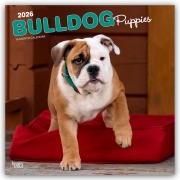 Bulldog Puppies - Bulldogge Welpen 2026 - 16-Monatskalender - Browntrout Publishers