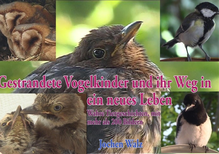 Gestrandete Vogelkinder und ihr Weg in ein neues Leben - Jochen Walz