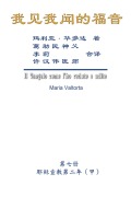 Cover-Bild zum Titel 'The Gospel As Revealed to Me (Vol 7) - Simplified Chinese Edition' von 'Maria Valtorta, Hon-Wai Hui, ¿¿¿'