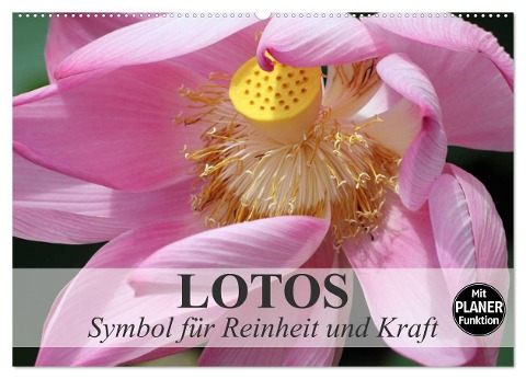Lotos. Symbol für Reinheit und Kraft (Wandkalender 2024 DIN A2 quer), CALVENDO Monatskalender - Elisabeth Stanzer