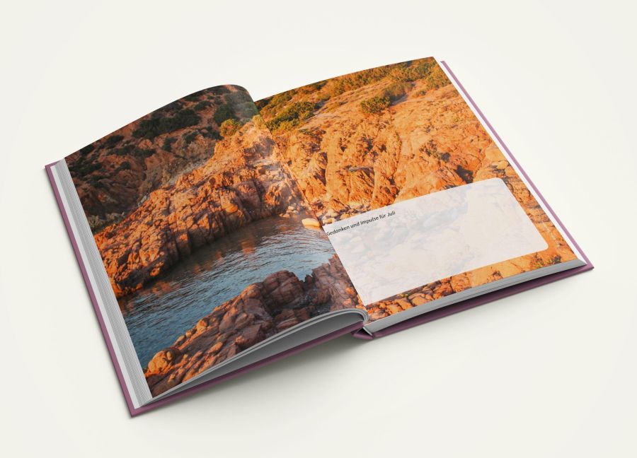 InsideView 3